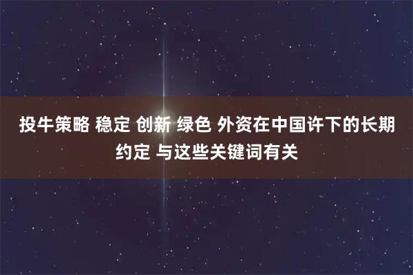 投牛策略 稳定 创新 绿色 外资在中国许下的长期约定 与这些关键词有关