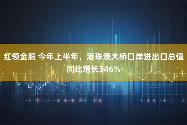 红领金服 今年上半年，港珠澳大桥口岸进出口总值同比增长346%
