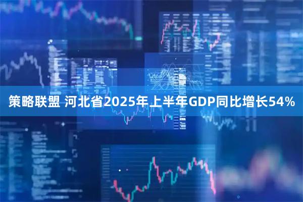 策略联盟 河北省2025年上半年GDP同比增长54%